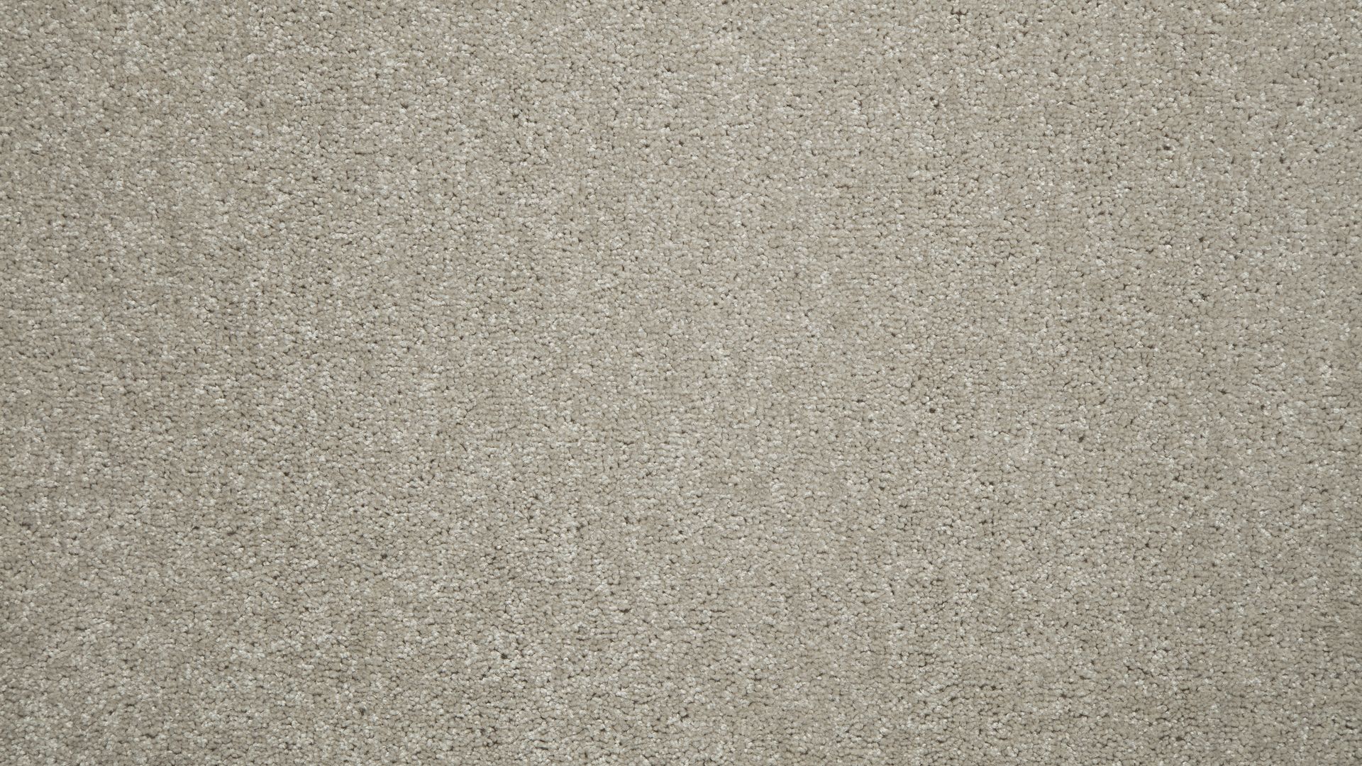 City Secrets Artwork Newcastle Carpet One