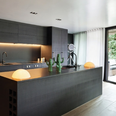 Modern kitchen style