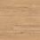 Looselay Longboard – Champagne Oak