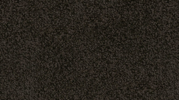 Selected Image