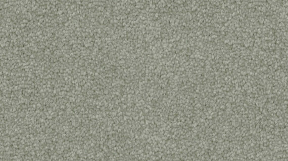 Selected Image