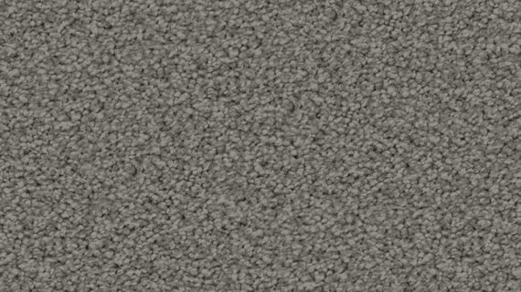 Selected Image