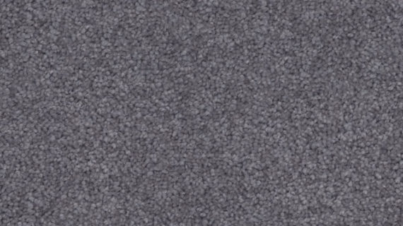 Selected Image
