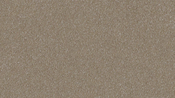 Selected Image