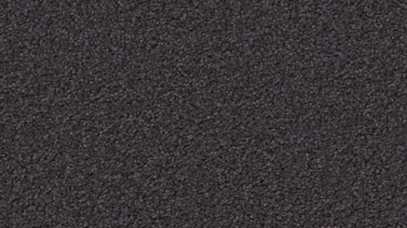 Selected Image