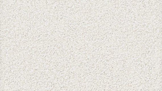 Selected Image