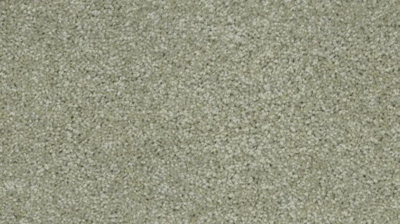Selected Image