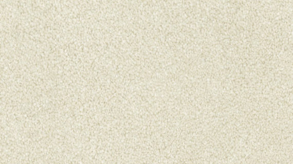 Selected Image