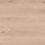 Looselay Longboard – Pure Danish Oak