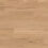Van Gogh Rigid Core – Eastern Blackbutt