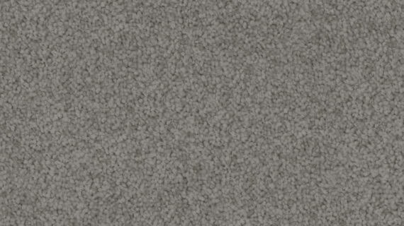 Selected Image