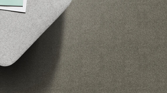 Selected Image