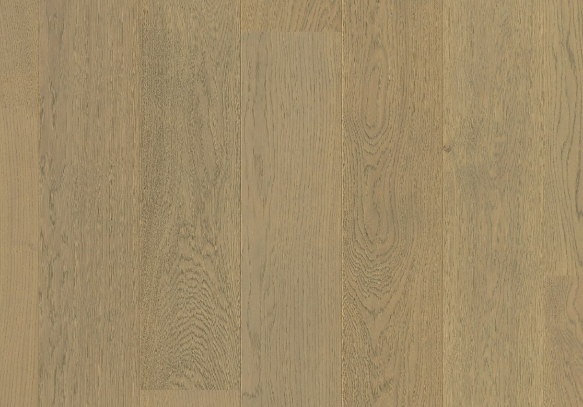 faro-fossil-oak