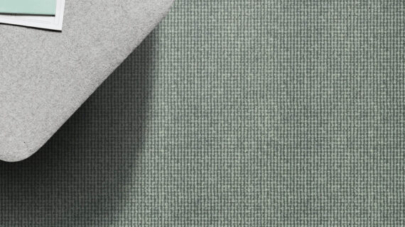 Selected Image