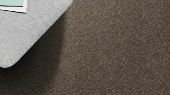 Selected Image