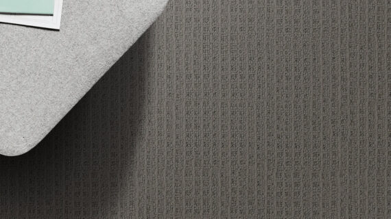 Selected Image