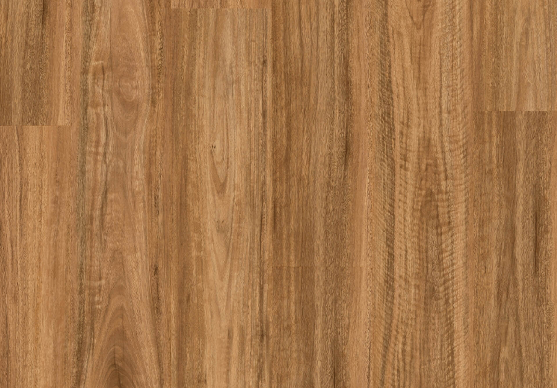 titan-comfort-spotted-gum