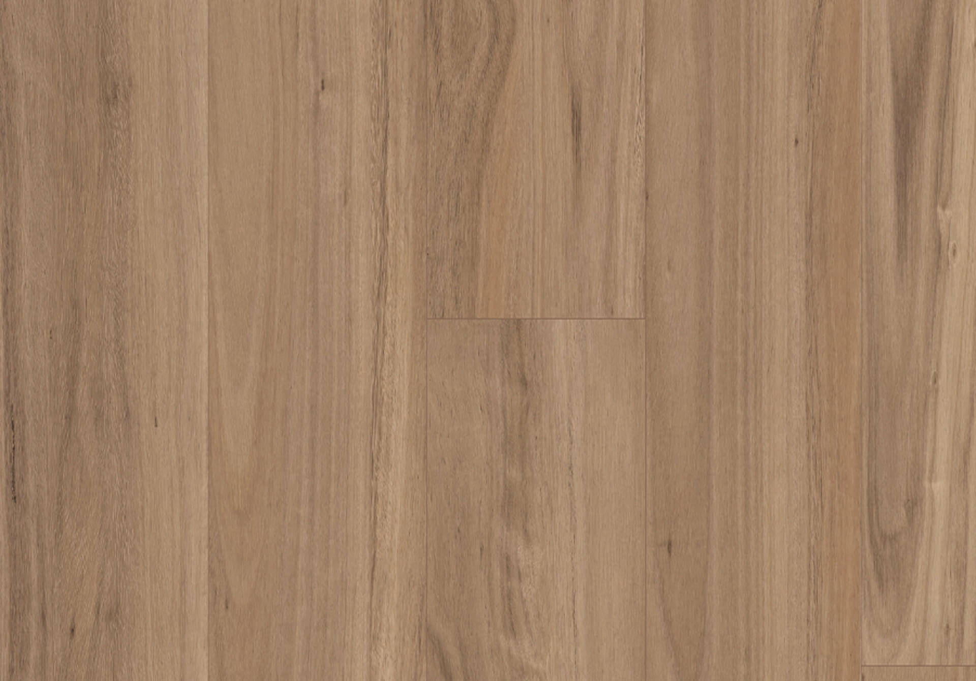 titan-hybrid-xxl-blackbutt-select