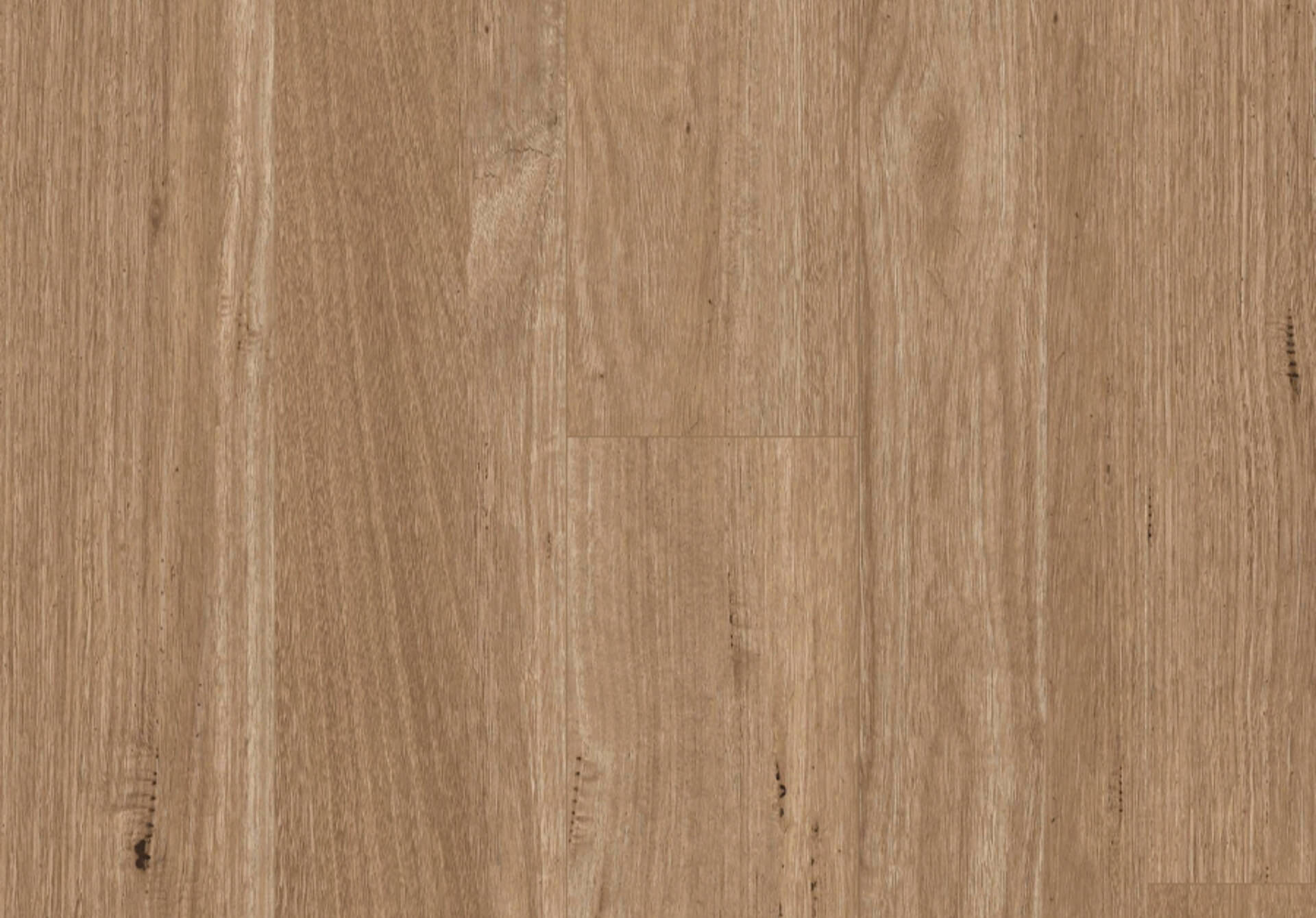 titan-hybrid-xxl-tasmanian-oak