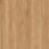 Titan Glue – Bleached Blackbutt