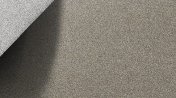 Selected Image