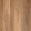 Distinct – Koonya Spotted Gum