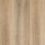 Distinct – Sandpiper Oak
