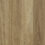 Panorama – Yarra Spotted Gum