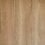 Quattro – Brown Stringybark