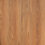 Scenic – Darlington Spotted Gum