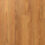 Scenic – Harrisville Spotted Gum