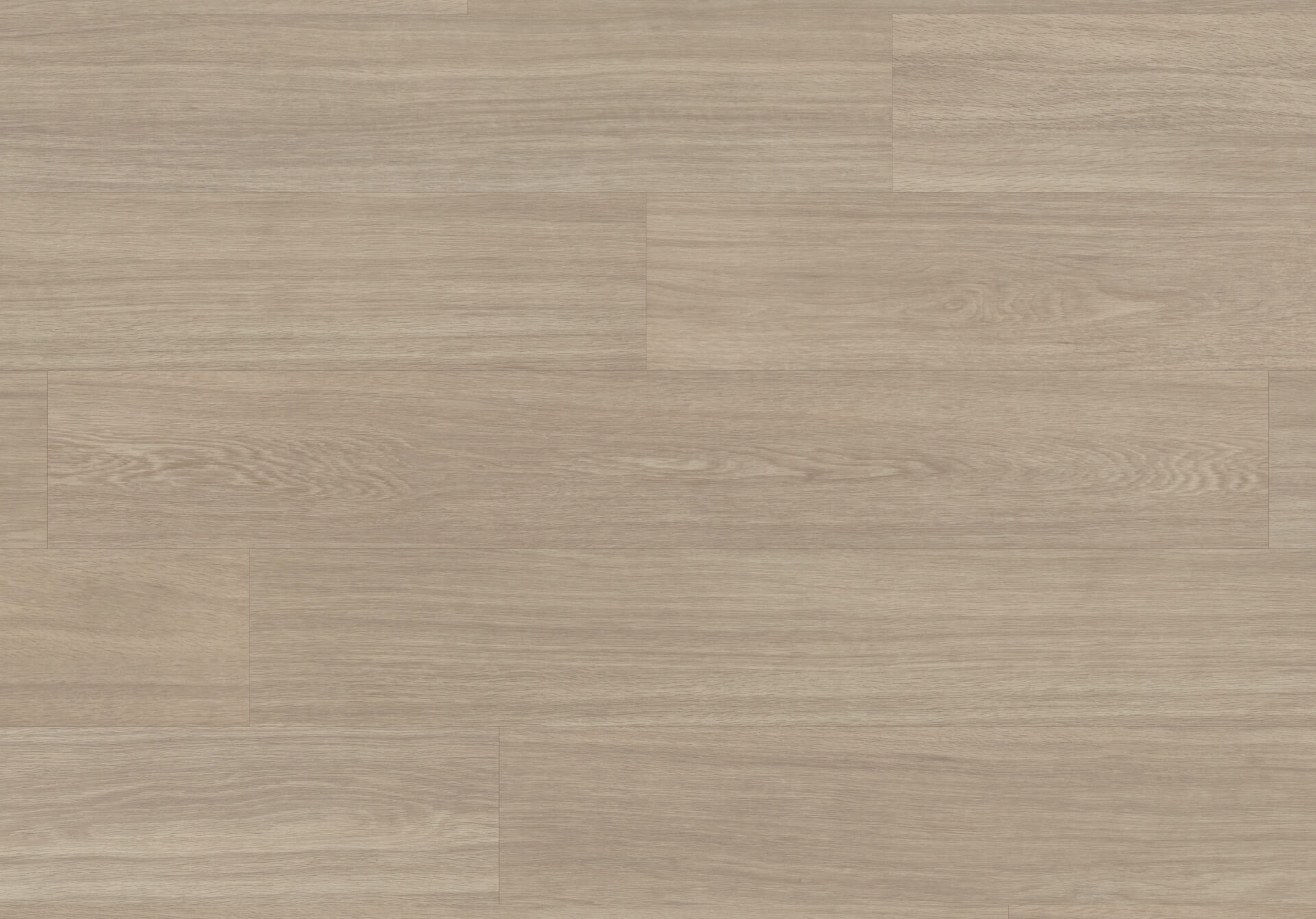 van-gogh-tranquil-oak