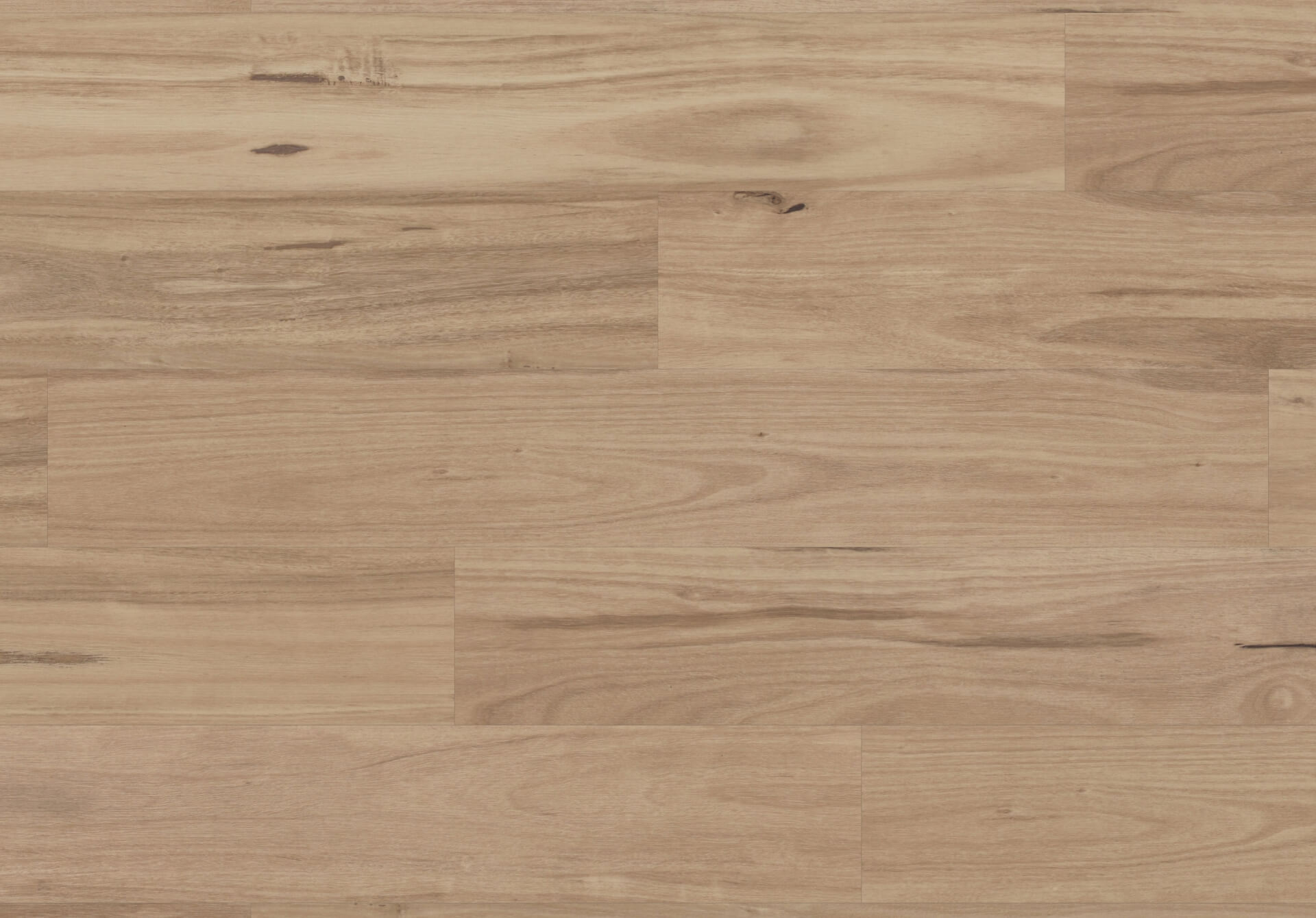 van-gogh-washed-blackbutt