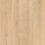 Esprit TX – Ash Blonde
