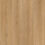 Esprit TX – Ash Gold
