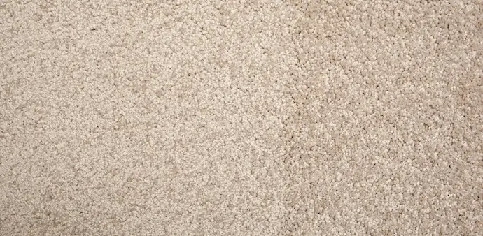 explore-carpet-thumb