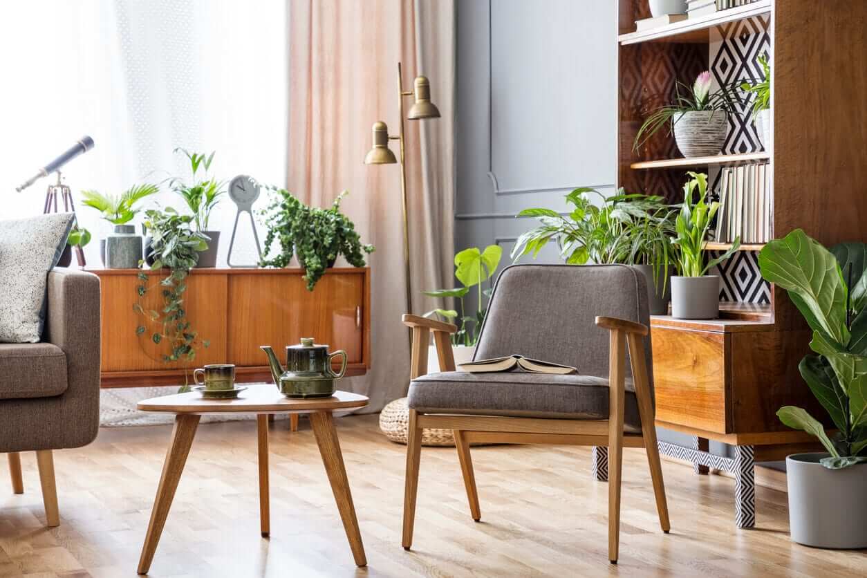 Mid-century modern-inspired living room with indoor plants, timber furniture and light wood flooring