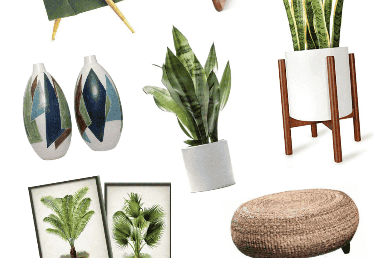Collection of botanical home décor items including potted plants, vases, framed plant prints and woven ottoman