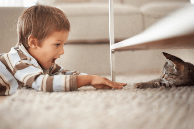 Young child lying on carpet reaching toward a small kitten indoors