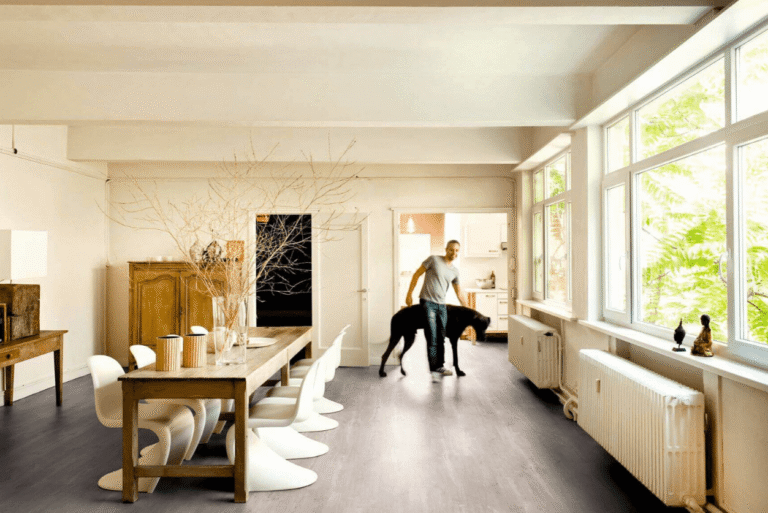 Bright open-plan living and dining area and a person walking a dog.