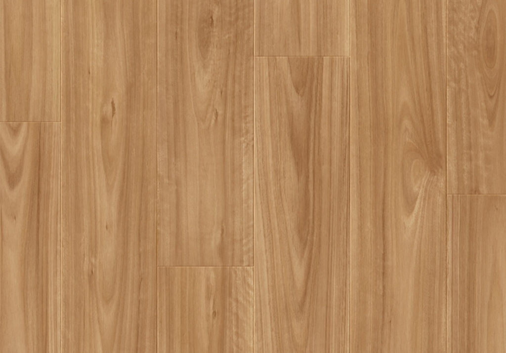 Blackbutt