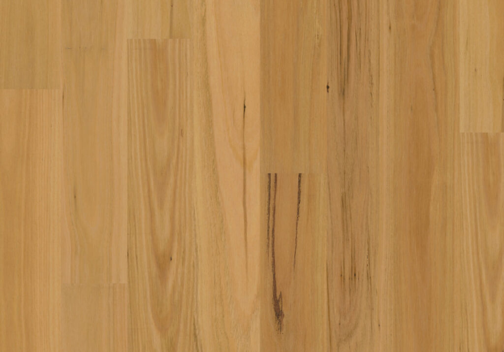 Blackbutt Matt Brushed
