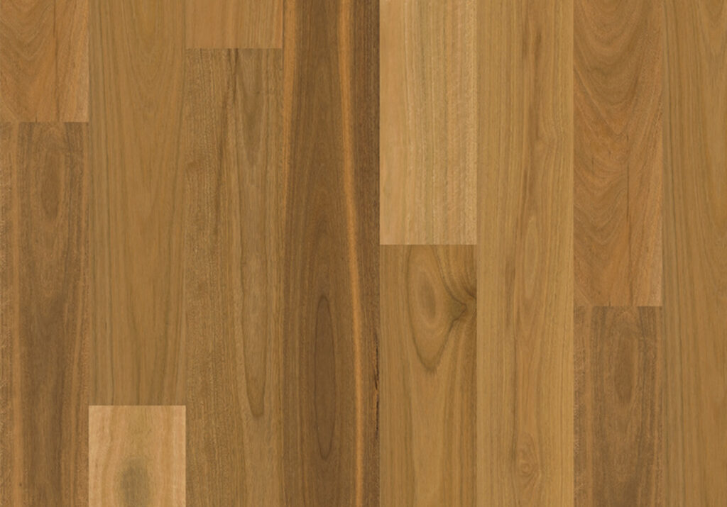 Spotted Gum Matt Brushed