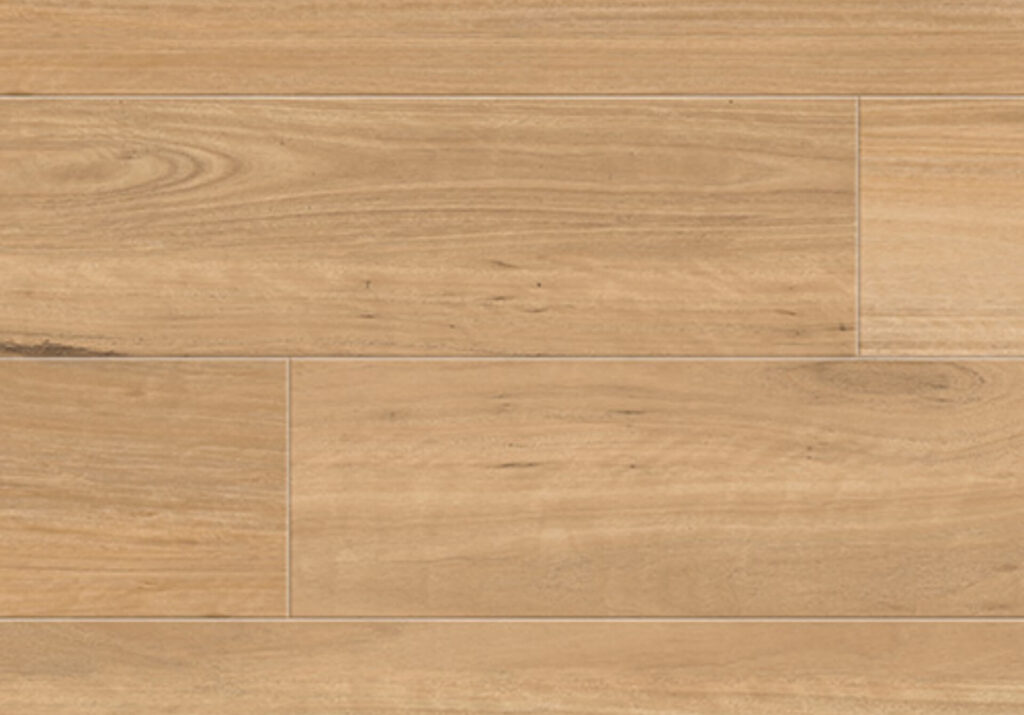 Coastal Blackbutt