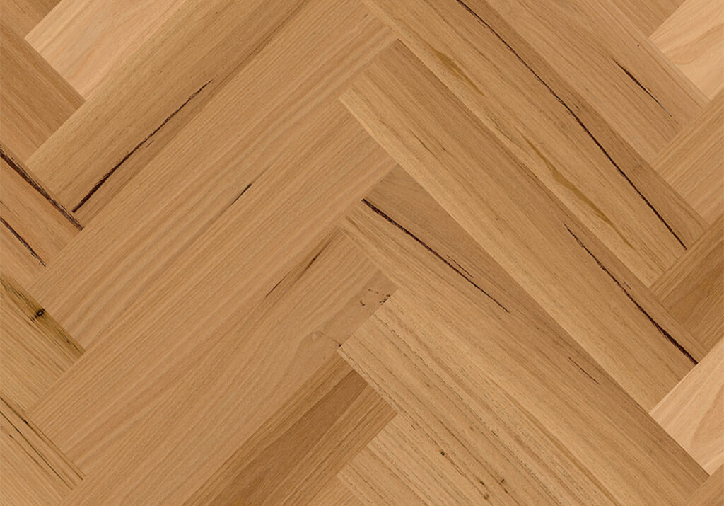Blackbutt