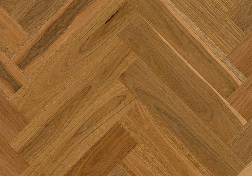 Spotted Gum