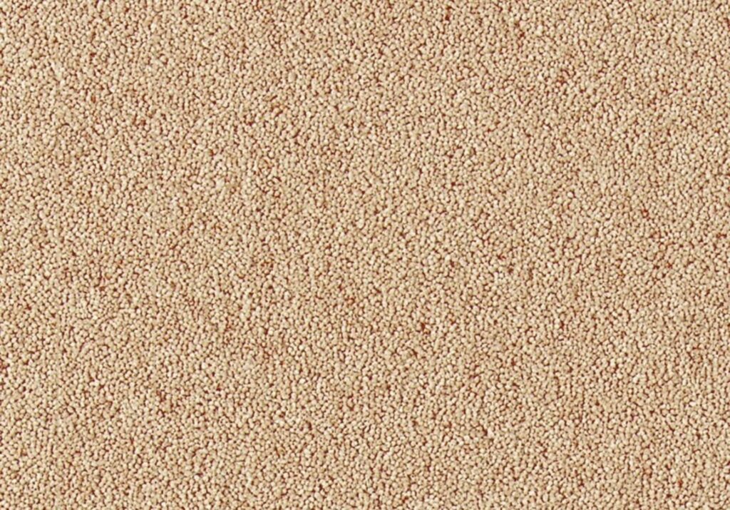 Barley