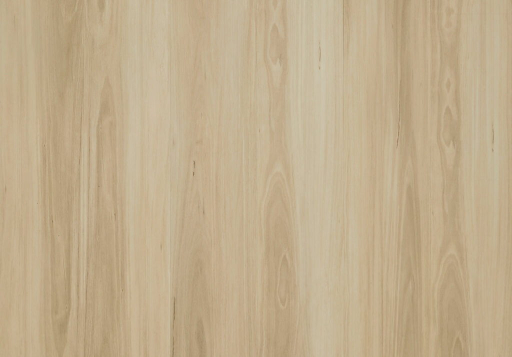 Burgundy Blackbutt
