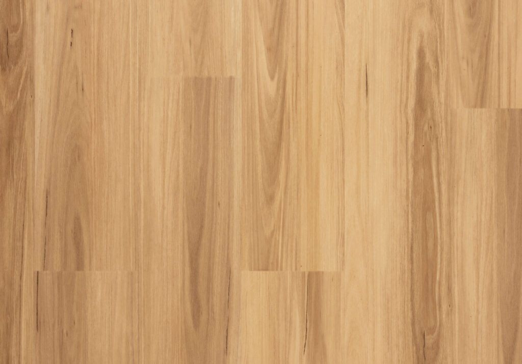 Alford Blackbutt