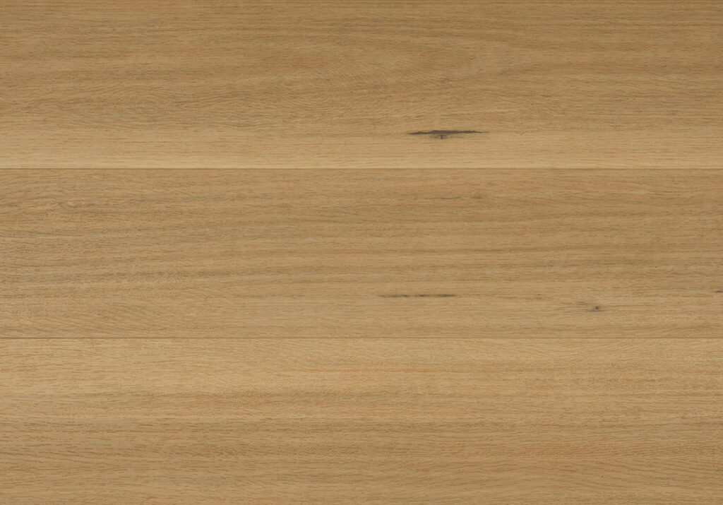 Blackbutt